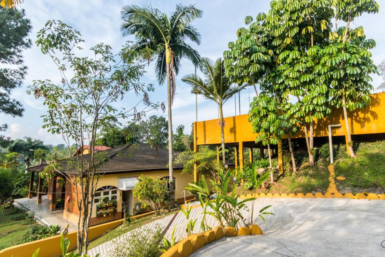 Villa Bem Querer - Suite Майріпоран Екстер'єр фото